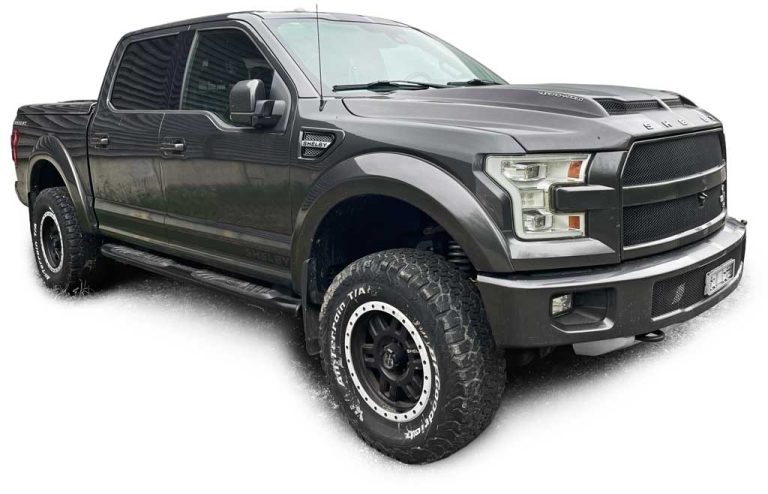 FORD F150-Shelby Pick-up-Truck vendre ma voiture suisse Fribourg